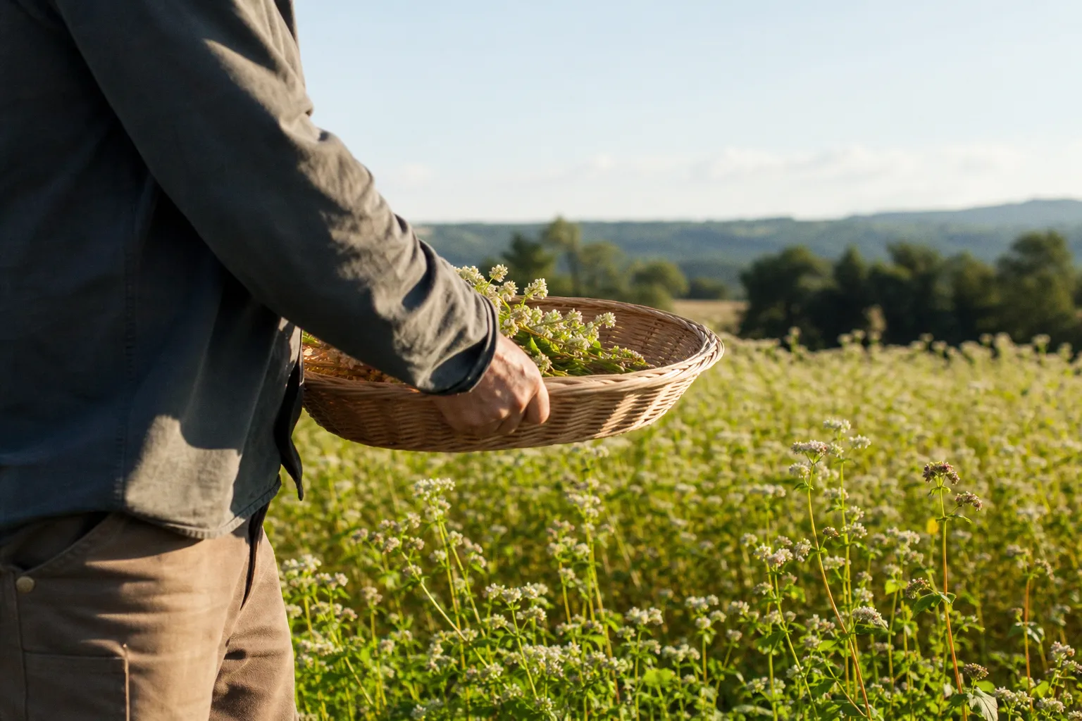 Cosmétiques et agriculture régénérative : le nouveau modèle de production