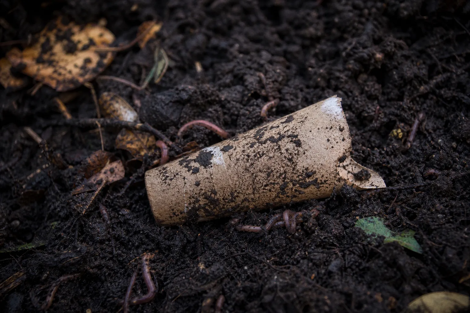 Cosmétiques zéro déchet : le test de compostabilité des tubes