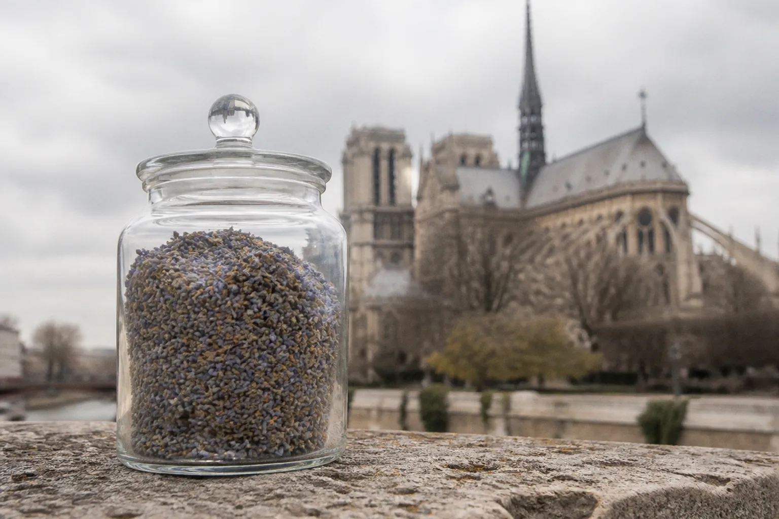 Espace Notre-Dame : les meilleurs billets selon votre profil
